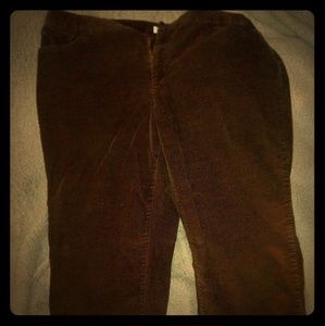CJ Banks Chocolate brown corduroy pants